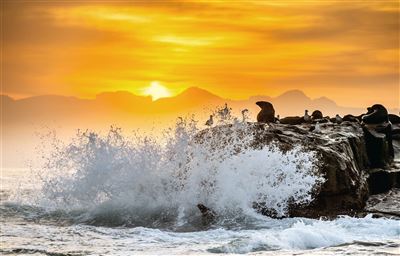 Sonnenaufgang auf Seal Island